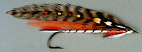 Brook Trout Streamer tied by Marcelo Morales