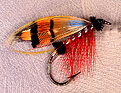 Durham Ranger, tied by Don Bastian