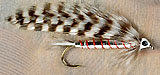 Fork-Tail Chub tied by Paul Beaudreau